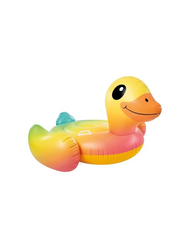INTEX Inflatable Pool Float: Pool Toy for Kids