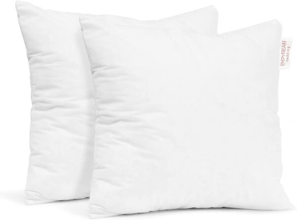 Empyrean Bedding Throw Pillow - 18 x 18 Inches Decorative Pillow Insert - Cotton Blend Outer Shell Indoor & Outdoor Pillows (Pack of 2, White)