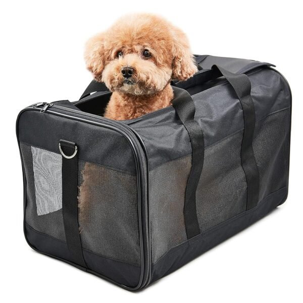 HITCH ScratchMe Pet Travel Carrier Soft Sided Portable Bag for Cats, Small Dogs, Kittens or Puppies, Collapsible, Durable, Airline Approved, Carry Your Pet with You Safely and...